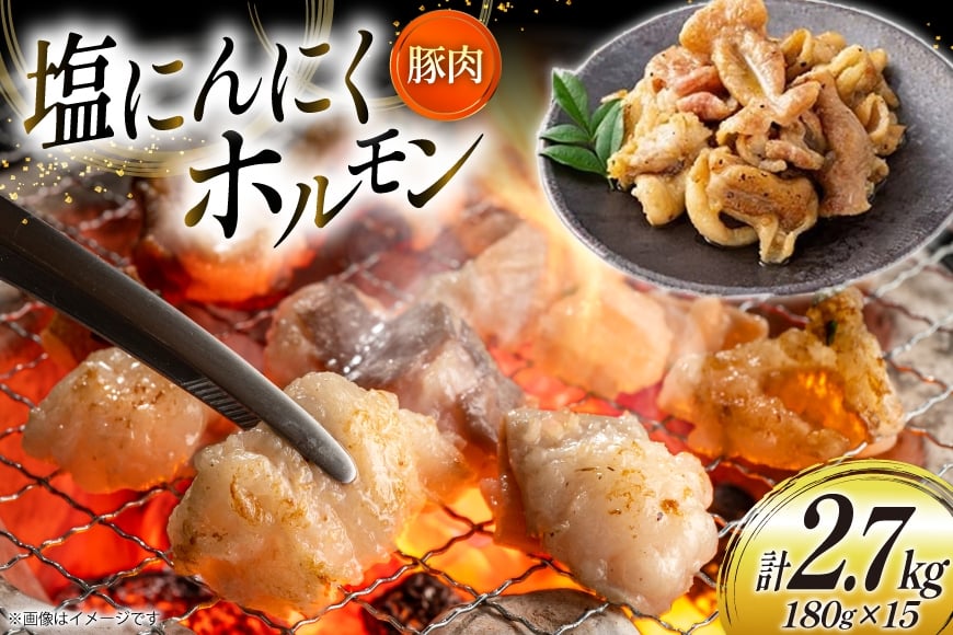 豚肉 ホルモン 塩にんにくホルモン 180g 15p 計2.7kg [りんご苑 山形県 高畠町 tk06ays660024] 焼肉 やきにく 国産 豚 味付き にんにく ニンニク 小分け 簡単 手軽 調理 おかず 冷凍