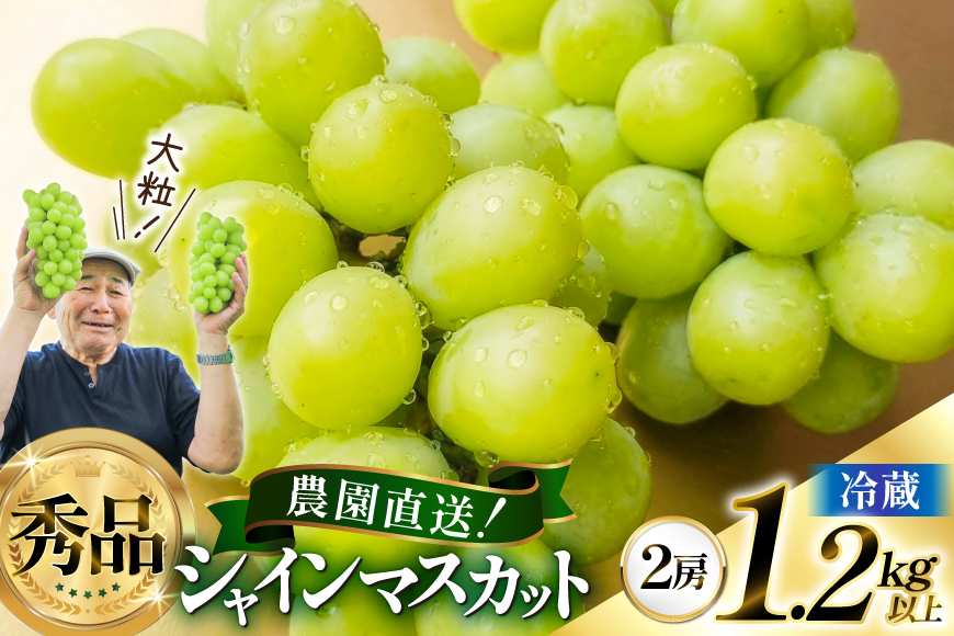 【期間限定発送】 シャインマスカット 秀 2房 1.2kg 以上 [もん前の里 山形県 高畠町 tk06ays960002] フルーツ 果物 くだもの ぶどう ブドウ 葡萄 1.2キロ 甘い