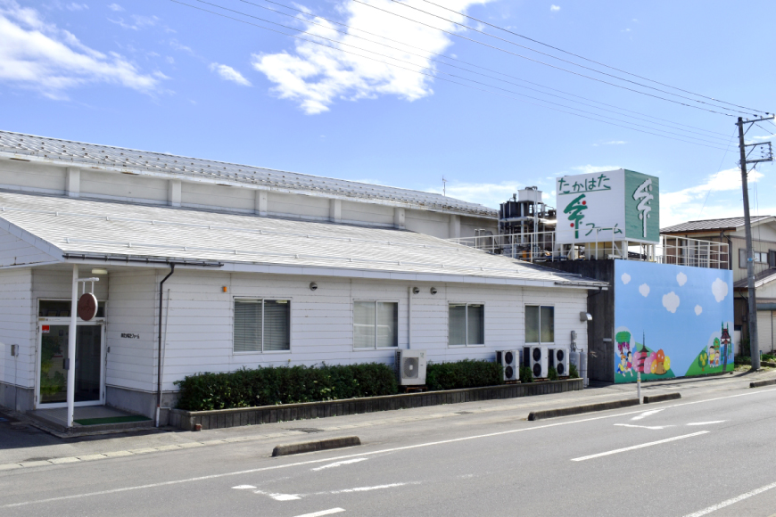 ドレッシング 2本 詰め合わせ セット 122ml 2本 計244ml [たかはたファーム 山形県 高畠町 tk06ays680030] ノンオイル 大根 人参 フレンチ ガーリック 食べ比べ ドレッシング詰め合わせ 詰合せ 調味料 サラダ