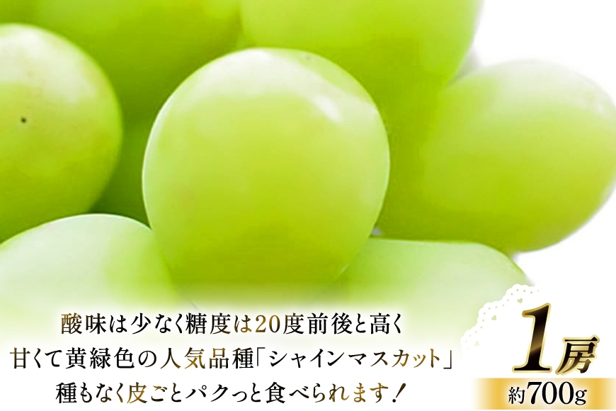 【期間限定発送】 シャインマスカット 1房 約700g [大野農園 山形県 高畠町 tk06ayt050003] ぶどう ブドウ 葡萄 マスカット 大粒 種なし 果物 フルーツ くだもの