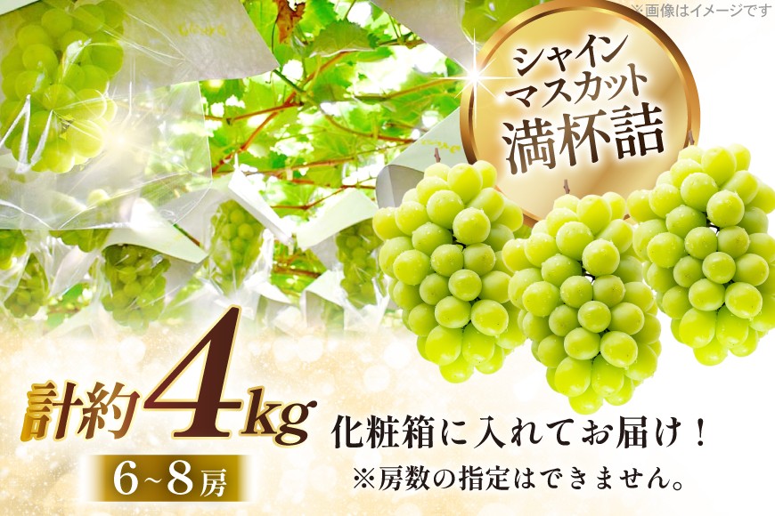 【期間限定発送】 シャインマスカット 6〜8房 満杯詰め 約4kg [本田農園 山形県 高畠 tk06ays820005] シャイン マスカット 葡萄 果物 くだもの 2キロ 箱入り×2箱
