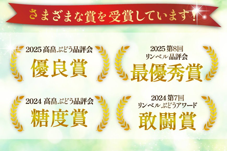 【期間限定発送】 シャインマスカット 3〜4房 満杯詰め 約2kg [本田農園 山形県 高畠町 tk06ays820002] ぶどう ブドウ 葡萄 マスカット 大粒 粒 つぶ ツブ 種なし 果物 くだもの フルーツ 2キロ 箱入り