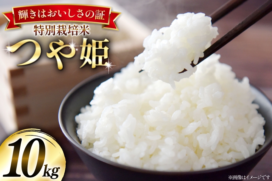 米 令和8年産 特別栽培米 つや姫 10kg (5kg×2) [本田勇仁 山形県 高畠町 tk06bgj910005] お米 白米 精米 ごはん ご飯 ブランド米