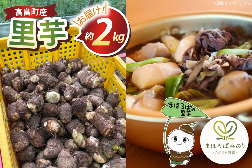 【期間限定発送】 里芋 約 2kg (15〜20個) 土付き [農家の店しゃんくすろーど 山形県 高畠町 tk06bcz250001] さといも 里いも 芋 野菜 やさい 芋煮 煮物 おかず 惣菜