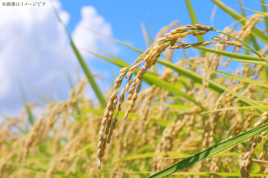 日本酒 辛口 純米吟醸 三十四号仕込 720ml 2本 セット [米鶴酒造 山形県 高畠町 tk06ays710031] 酒 お酒 米 720 晩酌