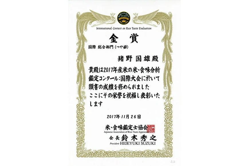米 令和7年産 雪若丸 5kg 特別栽培米 精米 [農家の蔵出し米生産組合 山形県 高畠町 tk06ays900000] コメ ご飯 ごはん お米 ブランド米