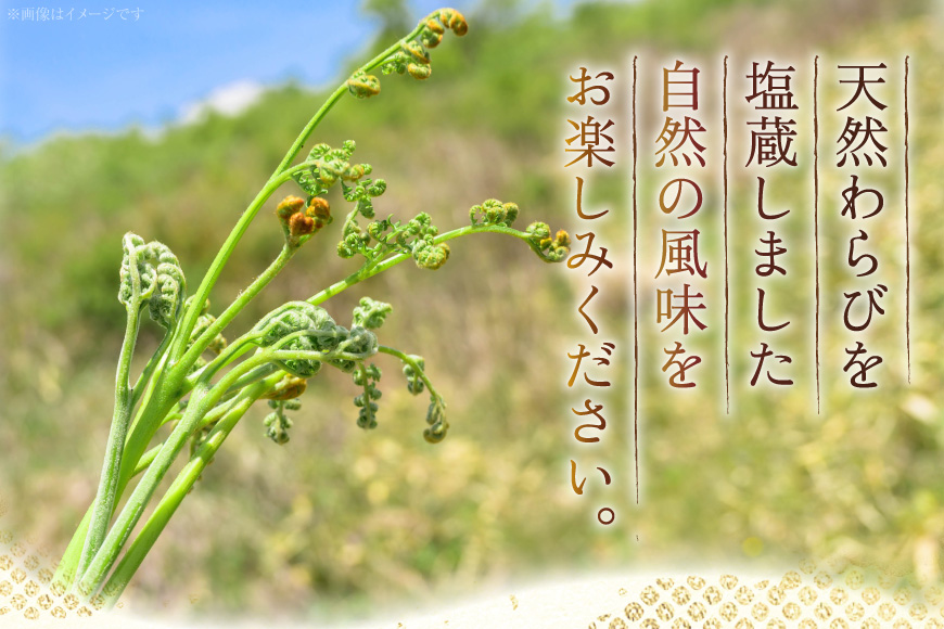 わらび 塩蔵わらび 400g 2袋 計800g [長澤農園 山形県 高畠町 tk06bis330001] 天然 山菜 ワラビ 塩蔵 山の幸 採りたて山菜