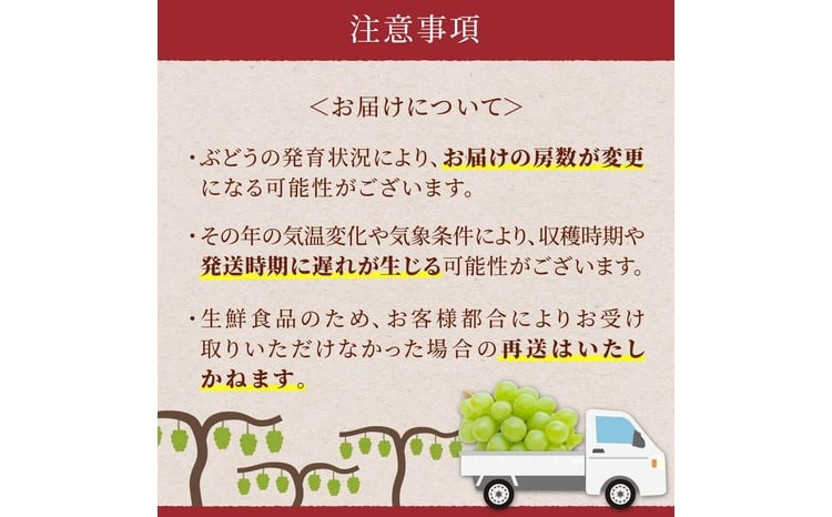 【期間限定発送】 シャインマスカット 2〜3房 約1.5kg [治右衛門果樹園 山形県 高畠町 tk06ays830000] 箱詰め フルーツ 果物 くだもの ぶどう ブドウ 葡萄 1.5キロ 甘い