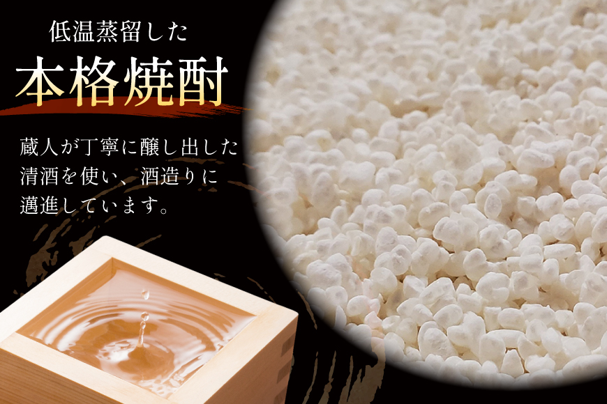 焼酎 米焼酎 疾風 25度 720ml 2本 セット [米鶴酒造 山形県 高畠町 tk06ays710006] 酒 お酒 米 720 晩酌 25%