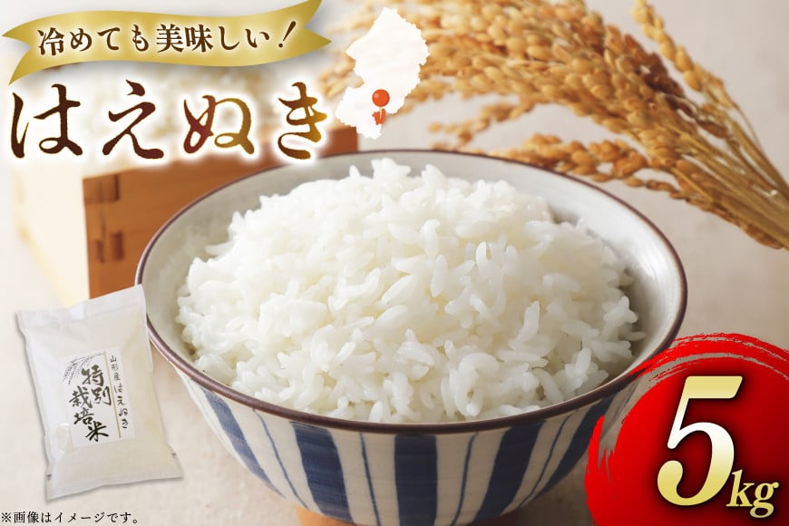 米 令和7年度産 はえぬき 5kg [渡部ファーム 山形県 高畠町 tk06ays810033] お米 白米 精米 ごはん ご飯 ブランド米