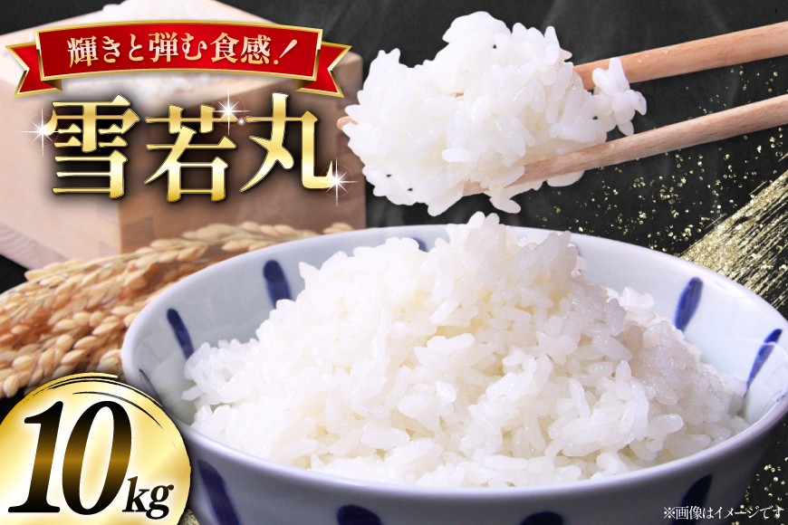 米 令和8年産  雪若丸 10kg(5kg×2) [本田勇仁 山形県 高畠町 tk06bgj910001] お米 白米 精米 ごはん ご飯 ブランド米