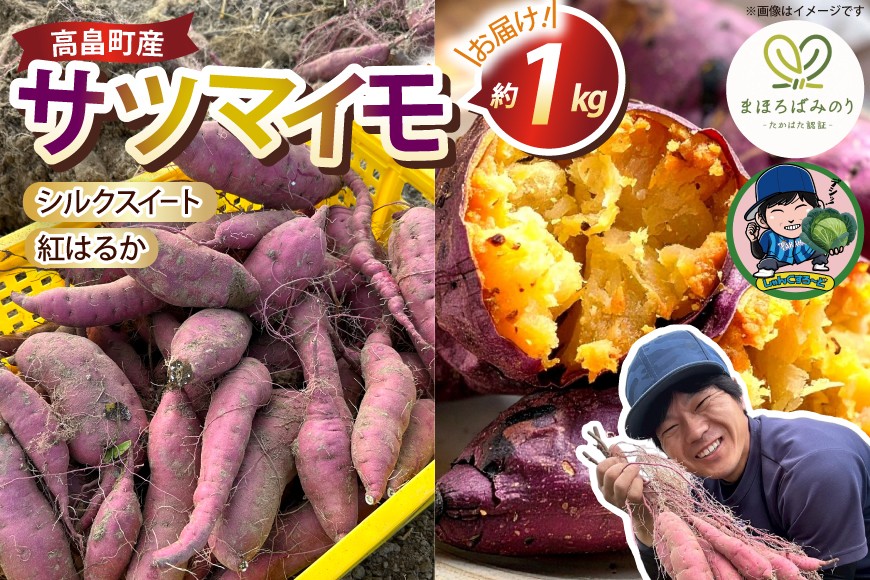 【期間限定発送】 さつまいも 2種 紅はるか シルクスイート 詰め合わせ 約1kg (4〜6本) [農家の店しゃんくすろーど 山形県 高畠町 tk06bcz250002] 芋 サツマイモ いも 野菜 やさい セット