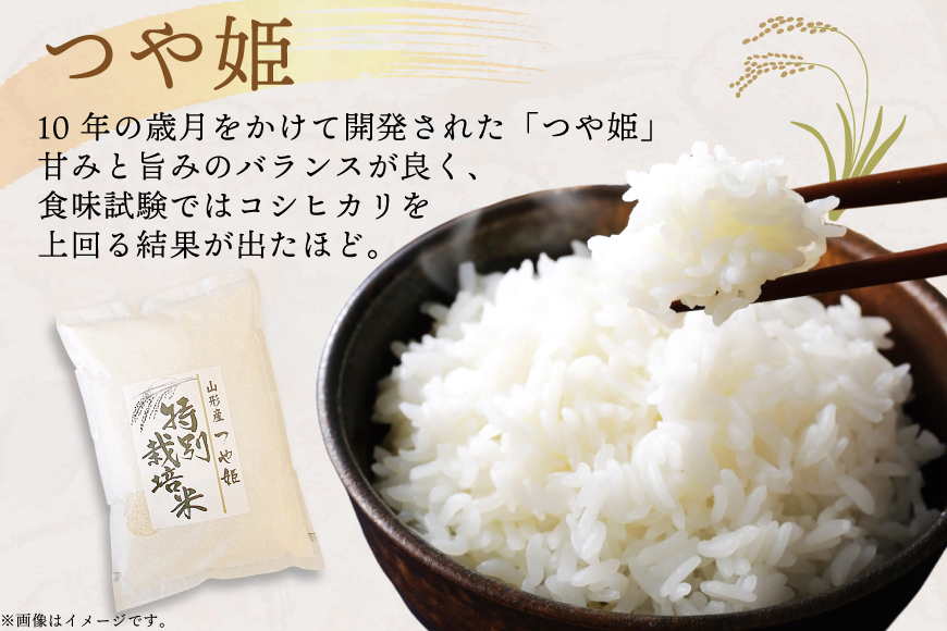 米 定期便 9回 令和8年産 特別栽培米 つや姫 5kg 9回 計45kg [渡部ファーム 山形県 高畠町 tk06ays810054] お米 白米 精米 ごはん ご飯 ブランド米