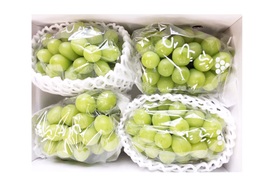 【期間限定発送】 シャインマスカット 6〜8房 満杯詰め 約4kg [本田農園 山形県 高畠 tk06ays820005] シャイン マスカット 葡萄 果物 くだもの 2キロ 箱入り×2箱