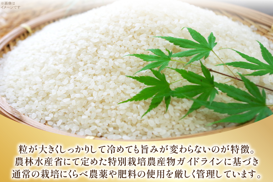 米 令和7年 コシヒカリ 5kg 2P 計 10kg [JA山形おきたま 山形県 高畠町 tk06ays870003] 5キロ 10キロ お米 ブランド米 ごはん ご飯 白米 精米 おこめ こめ こしひかり