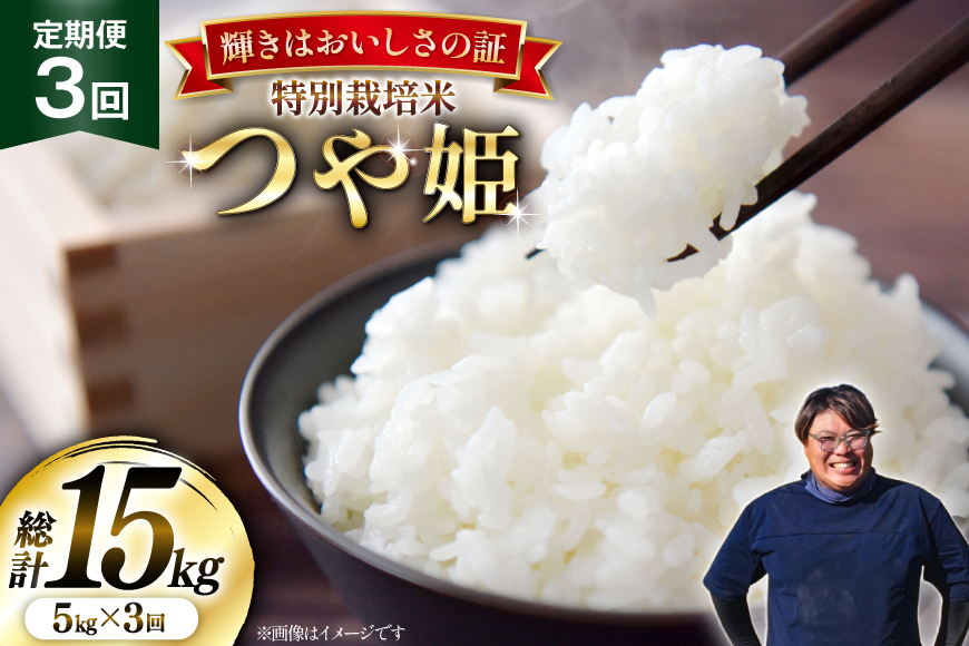 米 定期便 3回 令和8年産 特別栽培米 つや姫 5kg [本田勇仁 山形県 高畠町 tk06bgj910006] お米 白米 精米 ごはん ご飯 ブランド米