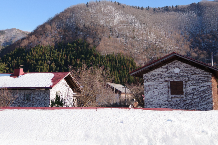 日本酒 純米あんだんて 720ml 2本 セット [米鶴酒造 山形県 高畠町 tk06ays710014] 酒 お酒 米 旨口 720 晩酌 淡麗 すっきり