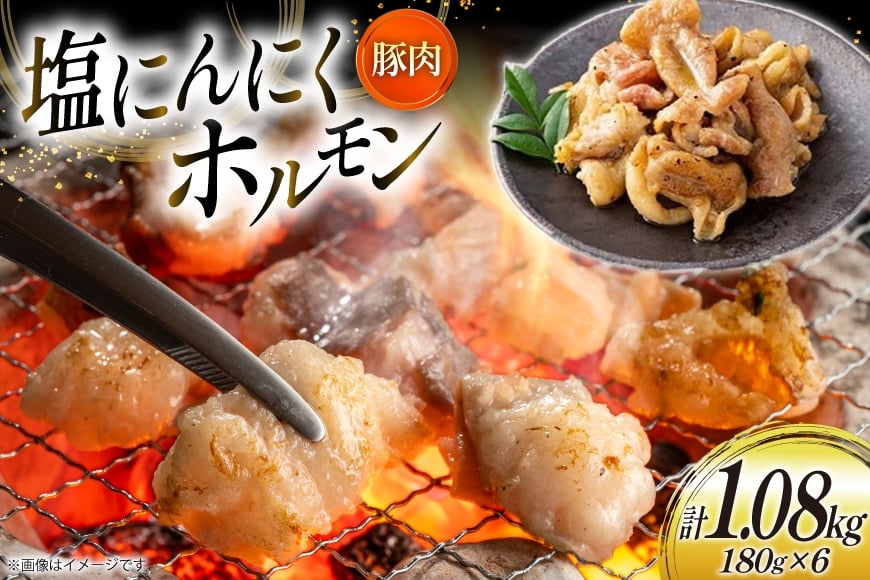 豚肉 ホルモン 塩にんにくホルモン 180g 6p 計1.08kg [りんご苑 山形県 高畠町 tk06ays660019] 焼肉 やきにく 国産 豚 味付き にんにく ニンニク 小分け 簡単 手軽 調理 おかず 冷凍