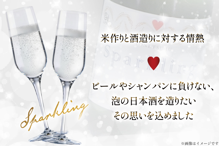 日本酒 辛口 スパークリング 750ml 2本 セット [米鶴酒造 山形県 高畠町 tk06ays710011] 酒 お酒 甘口 750 淡麗
