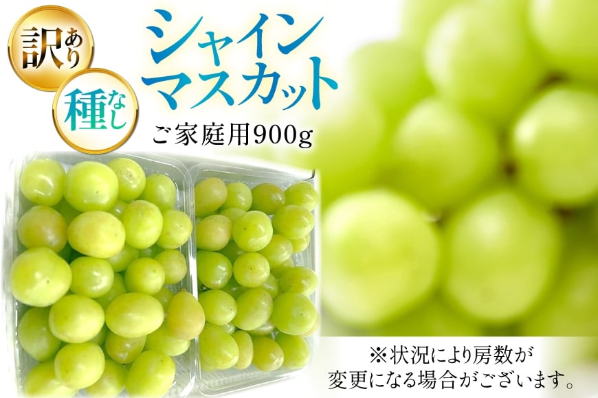 【期間限定発送】 シャインマスカット 訳あり 粒 900g [Yamagenフルーツガーデンレコルト 山形県 高畠町 tk06ayt380001] ご家庭用 ぶどう ブドウ 葡萄 フルーツ 果物 くだもの 甘い