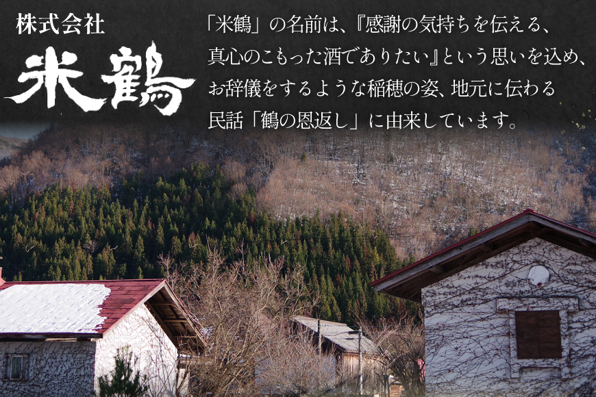 焼酎 米焼酎 疾風 25度 720ml 2本 セット [米鶴酒造 山形県 高畠町 tk06ays710006] 酒 お酒 米 720 晩酌 25%