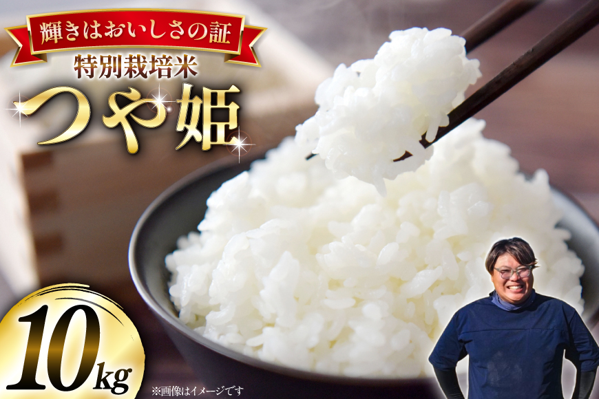 米 令和8年産 特別栽培米 つや姫 10kg (5kg×2) [本田勇仁 山形県 高畠町 tk06bgj910005] お米 白米 精米 ごはん ご飯 ブランド米