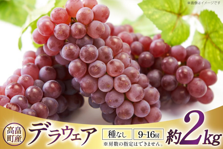 【期間限定発送】 ぶどう デラウェア 約9〜16房 約2kg [齋藤ファーム 山形県 高畠町 tk06bnv890000] 種無し ブドウ 葡萄 くだもの 果物 フルーツ 産地直送 農家直送 果実 デザート 甘い