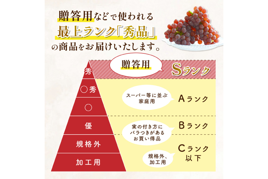 【期間限定発送】 デラウェア 秀品 5〜8房 約 1kg [治右衛門果樹園 山形県 高畠町 tk06ays830010] ぶどう 種無し ブドウ 葡萄 くだもの 果物 フルーツ 産地直送 農家直送 期間限定 甘い