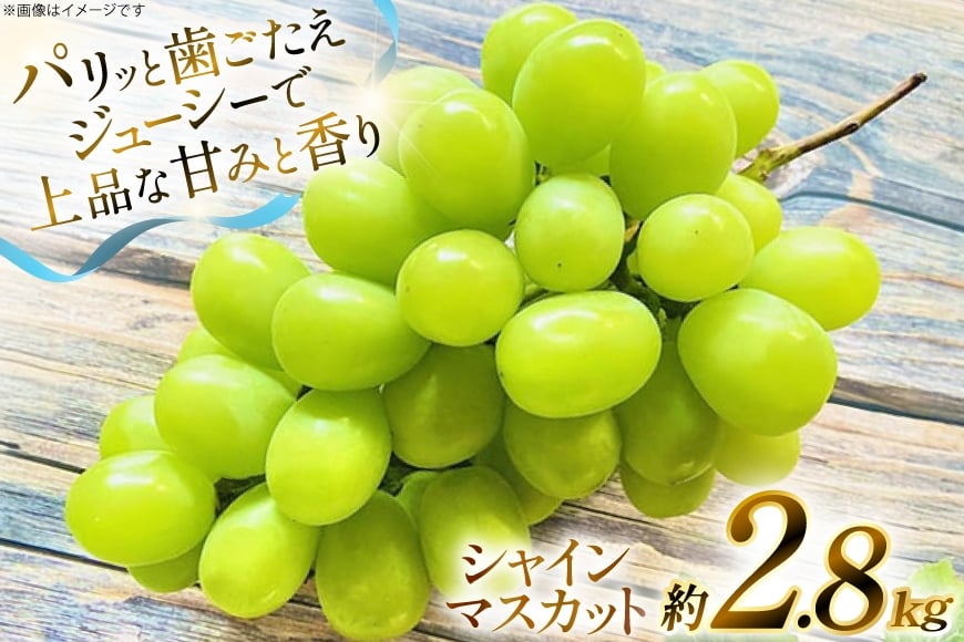 【期間限定発送】 シャインマスカット 約 2.8kg [もん前の里 山形県 高畠町 tk06ays960005] フルーツ 果物 くだもの ぶどう ブドウ 葡萄 2.8キロ 甘い