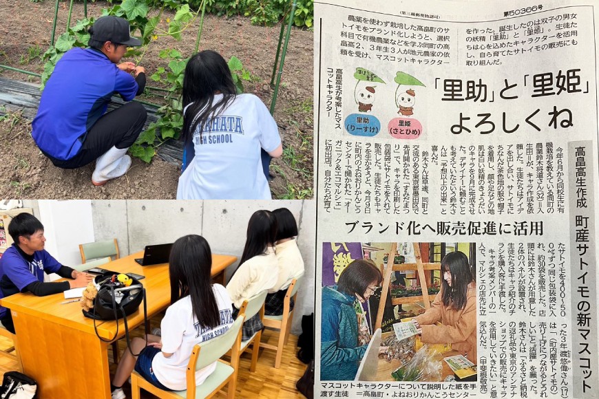 【期間限定発送】 里芋 約 2kg (15〜20個) 土付き [農家の店しゃんくすろーど 山形県 高畠町 tk06bcz250001] さといも 里いも 芋 野菜 やさい 芋煮 煮物 おかず 惣菜