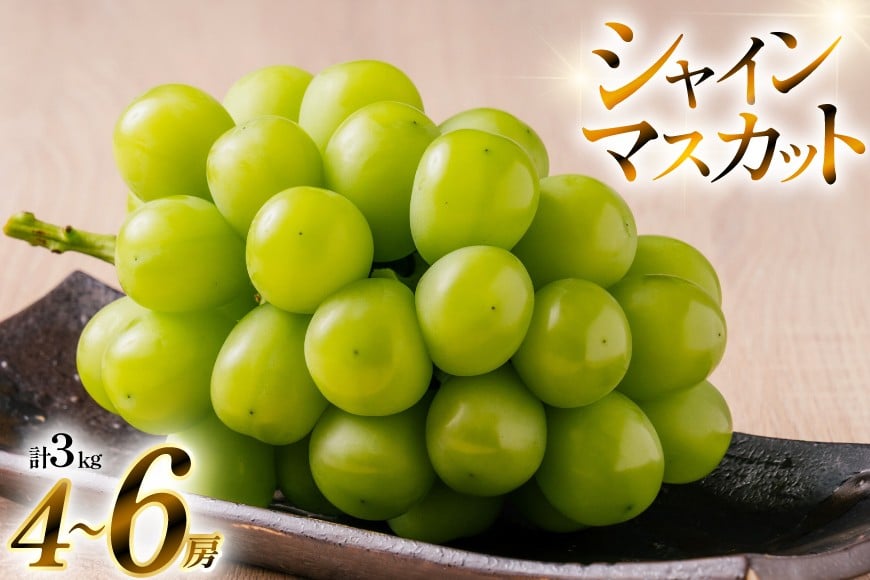 【期間限定発送】 シャインマスカット 4〜6房 約 3kg [いわた果樹園 山形県 高畠町 tk06ayt400002] ぶどう ブドウ 葡萄 フルーツ 果物 くだもの 3キロ 甘い