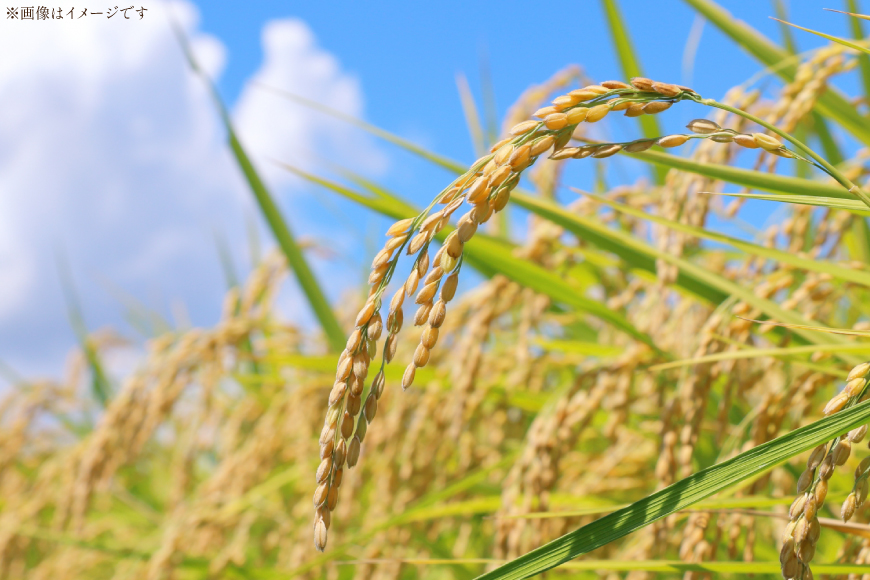 日本酒 辛口 盗み吟醸 大吟 720ml 2本 セット [米鶴酒造 山形県 高畠町 tk06ays710021] 酒 お酒 米 720 晩酌 淡麗