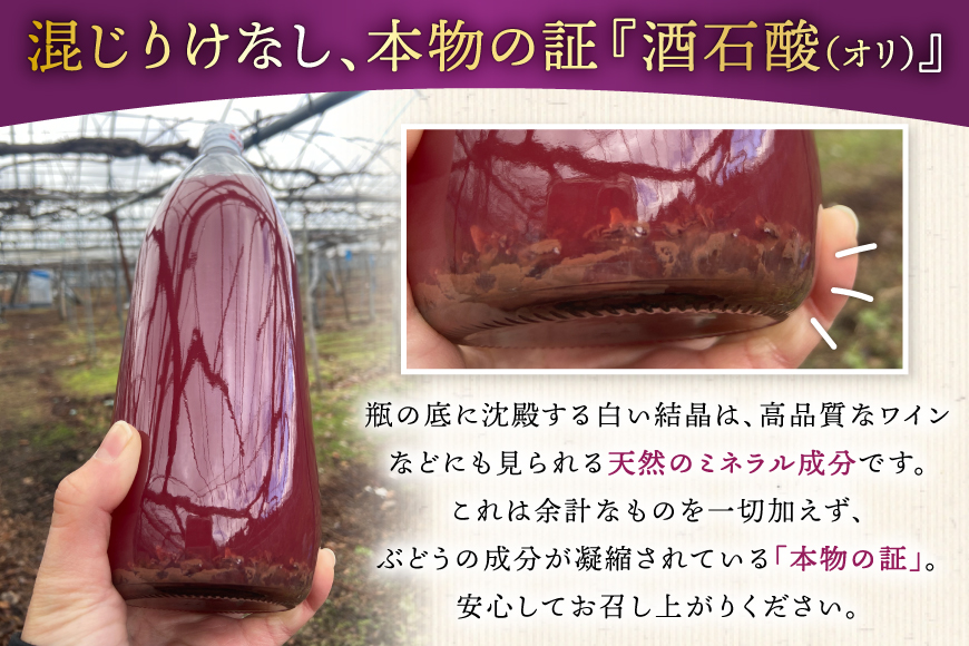 100% ぶどう ジュース 1L 6本 セット [まほろばかじゅ園 山形県 高畠町 tk06bim610000] 葡萄 ブドウ 飲み物 飲料 農家直送 産地直送 デラウェア 果汁 果実 果物 くだもの フルーツ