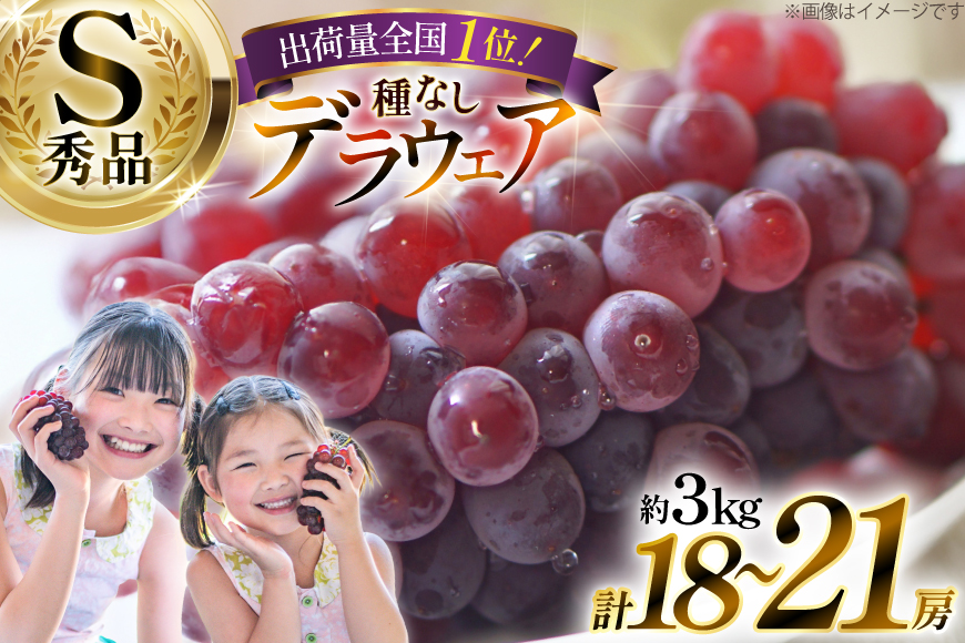 【期間限定発送】 ぶどう デラウェア 秀品 18〜21房 約3kg [治右衛門果樹園 山形県 高畠町 tk06ays830020] 種無し ブドウ 葡萄 くだもの 果物 フルーツ 産地直送 農家直送 期間限定 甘い 種なし