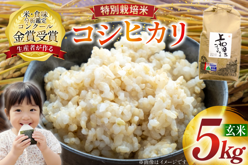 米 令和7年産 こしひかり 天日乾燥「和」 5kg 特別栽培米 玄米 [農家の蔵出し米生産組合 山形県 高畠町 tk06ays900027] コメ ご飯 ごはん お米 ブランド米