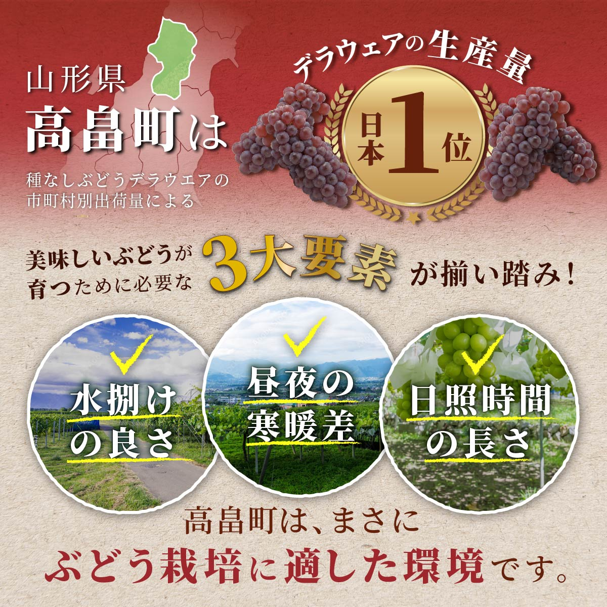 【期間限定発送】 ぶどう クリスマス シャインマスカット 1房 約700g [大野農園 山形県 高畠町 tk06ayt050005] ぶどう ブドウ 葡萄 マスカット 大粒 果物 くだもの フルーツ