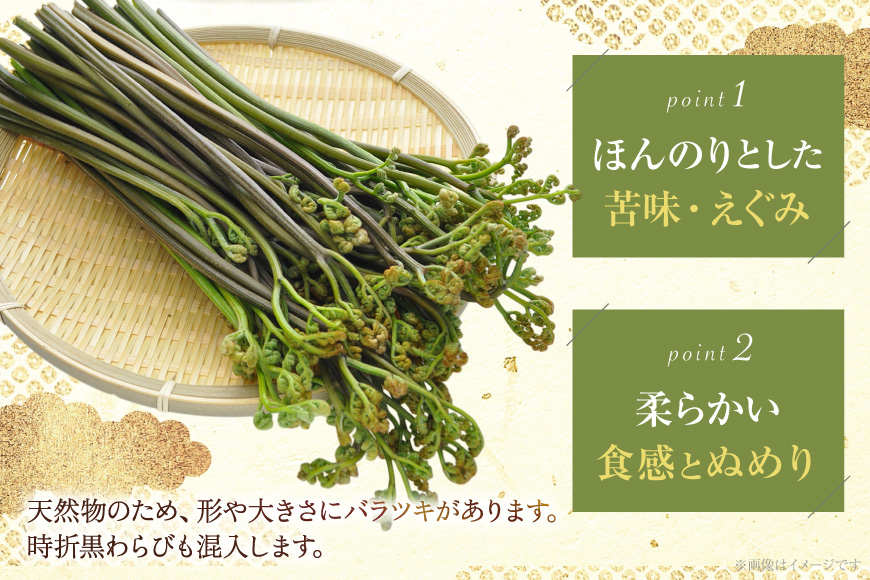 わらび 塩蔵わらび 400g 2袋 計800g [長澤農園 山形県 高畠町 tk06bis330001] 天然 山菜 ワラビ 塩蔵 山の幸 採りたて山菜