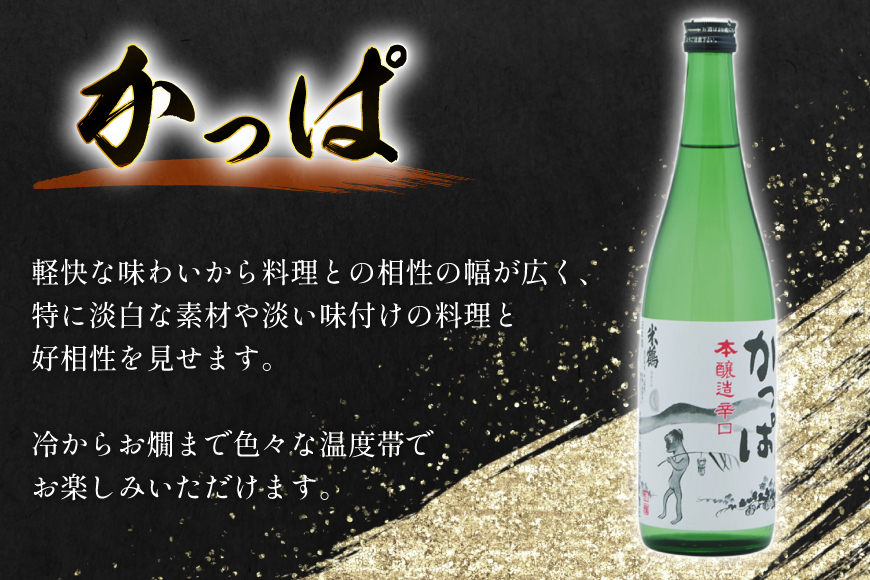 日本酒 辛口 本醸造 辛口かっぱ 720ml 2本 セット [米鶴酒造 山形県 高畠町 tk06ays710008] 酒 お酒 米 720 晩酌 淡麗 熱燗
