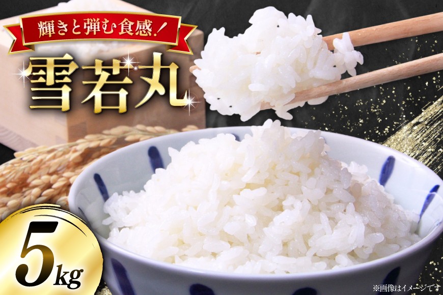 米 令和8年産  雪若丸 5kg [本田勇仁 山形県 高畠町 tk06bgj910000] お米 白米 精米 ごはん ご飯 ブランド米