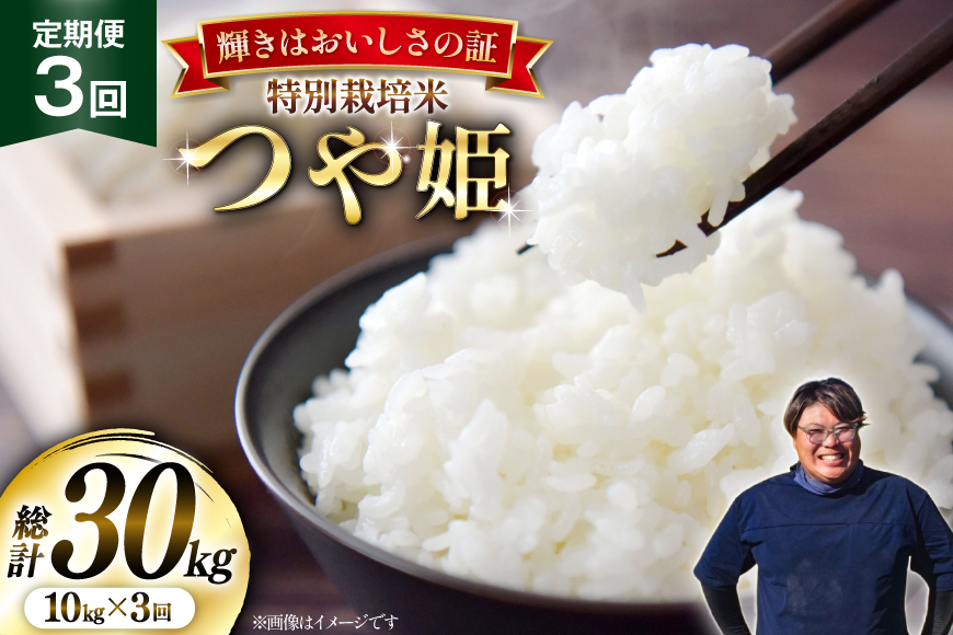米 定期便 3回 令和8年産 特別栽培米 つや姫 10kg (5kg×2) [本田勇仁 山形県 高畠町 tk06bgj910007] お米 白米 精米 ごはん ご飯 ブランド米