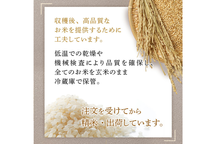 米 令和7年産 ミルキークイーン 2kg 有機JAS 精米 [農家の蔵出し米生産組合 山形県 高畠町 tk06ays900036] コメ ご飯 ごはん お米 ブランド米