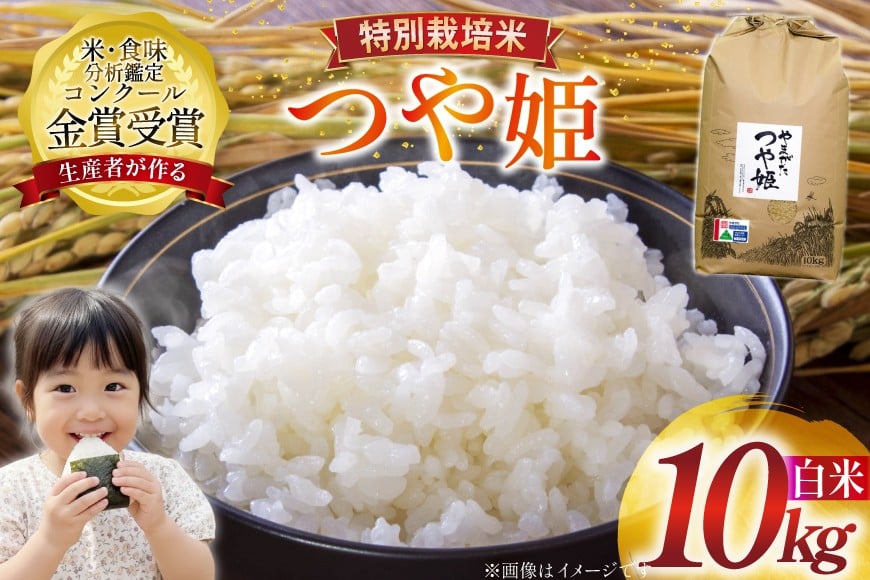 米 令和7年産 つや姫 10kg 特別栽培米 精米 [農家の蔵出し米生産組合 山形県 高畠町 tk06ays900023] コメ ご飯 ごはん お米 ブランド米