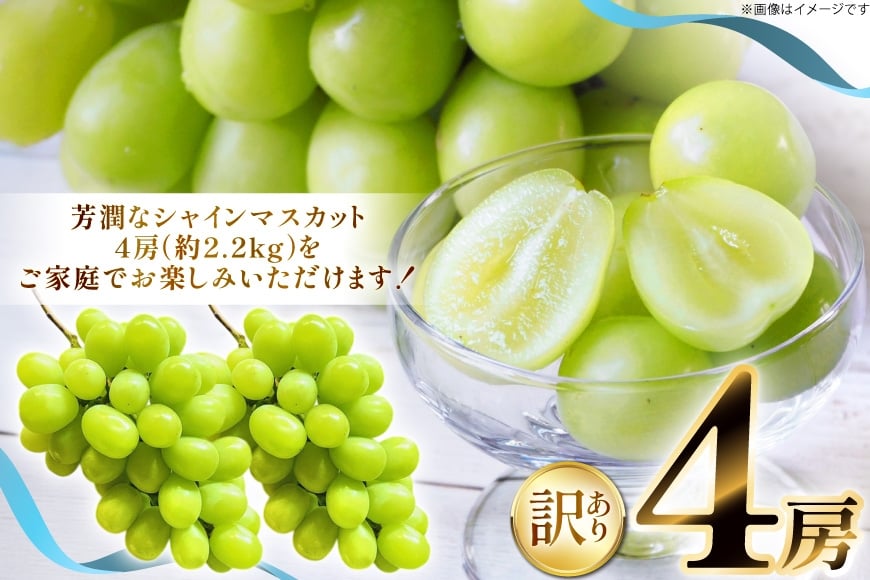 【期間限定発送】 シャインマスカット 訳あり 4房 2.2kg [もん前の里 山形県 高畠町 tk06ays960001] フルーツ 果物 くだもの ぶどう ブドウ 葡萄 2.2キロ 甘い