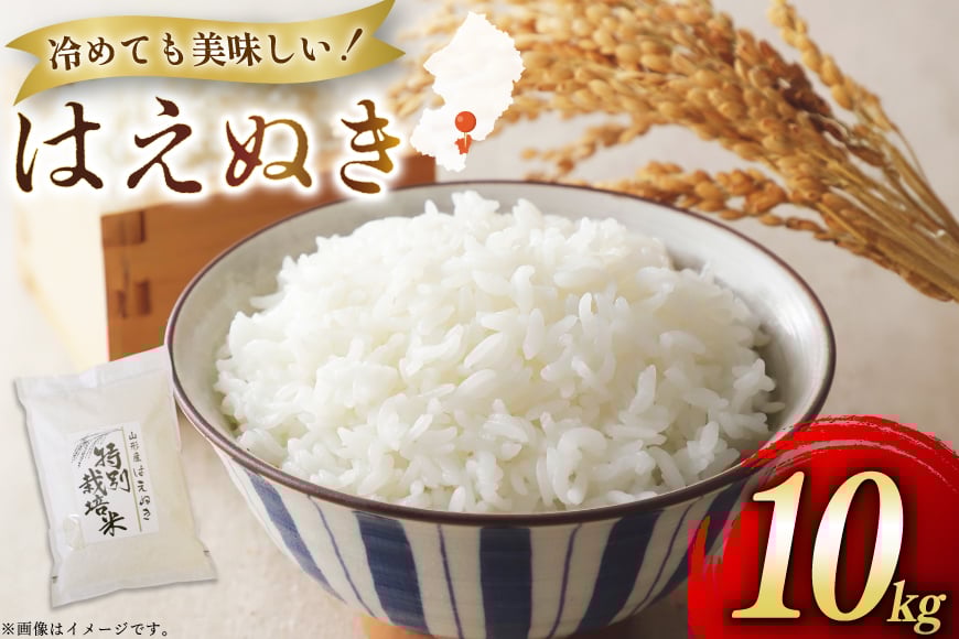 米 令和7年 はえぬき 10kg [渡部ファーム 山形県 高畠町 tk06ays810034] お米 白米 精米 ごはん ご飯 ブランド米