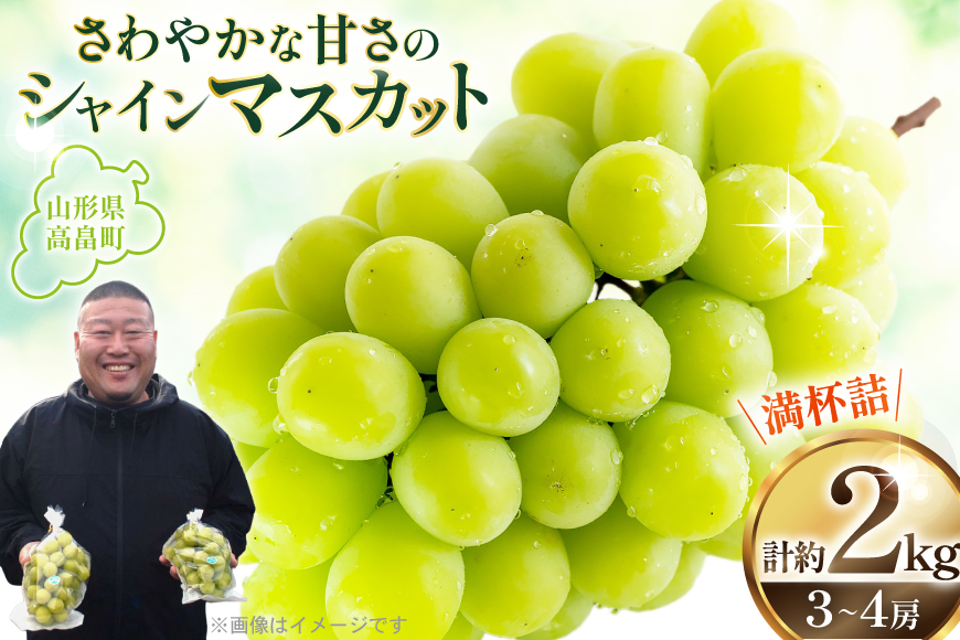 【期間限定発送】 シャインマスカット 3〜4房 満杯詰め 約2kg [本田農園 山形県 高畠町 tk06ays820002] ぶどう ブドウ 葡萄 マスカット 大粒 粒 つぶ ツブ 種なし 果物 くだもの フルーツ 2キロ 箱入り