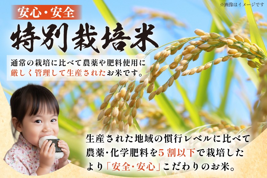 米 定期便 3回 令和7年産 特別栽培米 ミルキークイーン 5kg 3回 計15kg [渡部ファーム 山形県 高畠町 tk06ays810002] お米 白米 精米 ごはん ご飯 ブランド米