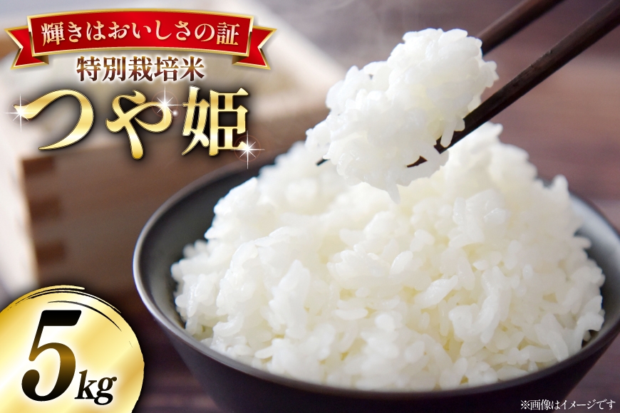 米 令和8年産 特別栽培米 つや姫 5kg [本田勇仁 山形県 高畠町 tk06bgj910004] お米 白米 精米 ごはん ご飯 ブランド米