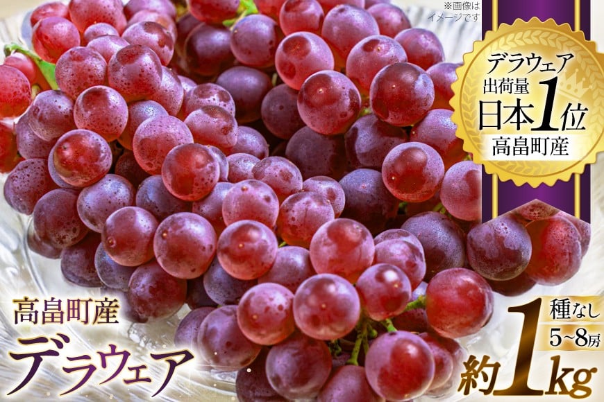 【期間限定発送】 ぶどう デラウェア 5〜8房 約 1kg [いわた果樹園 山形県 高畠町 tk06ayt400003] 種無し ブドウ 葡萄 くだもの 果物 フルーツ 産地直送 農家直送