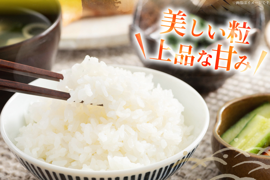 米 令和7年産 特別栽培米 つや姫 10kg (2.5kg×4袋) [齋藤 文芳 山形県 高畠町 tk06biz810000] コメ ご飯 ごはん お米 ブランド米