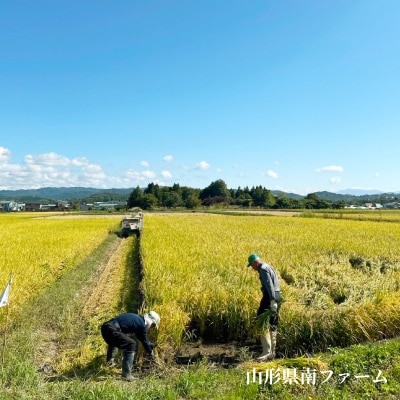 【令和7年産】山形県産【はえぬき】精米 10kg(5kg×2袋)【1672669】